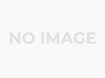 Bronze Sponsor